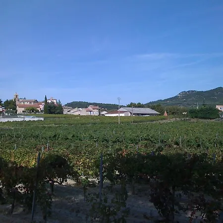 Vacation - Le Vieux Figuier Hébergement de vacances