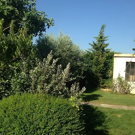 Vacation - Le Vieux Figuier