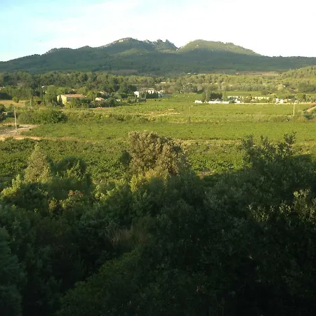 Vacation - Le Vieux Figuier