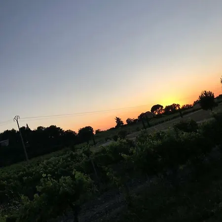Vacation - Le Vieux Figuier Hébergement de vacances Vacqueyras
